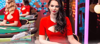 2201bet সাধারণ প্রশ্ন ও সহায়ক তথ্য বিভাগের ভিজ্যুয়াল